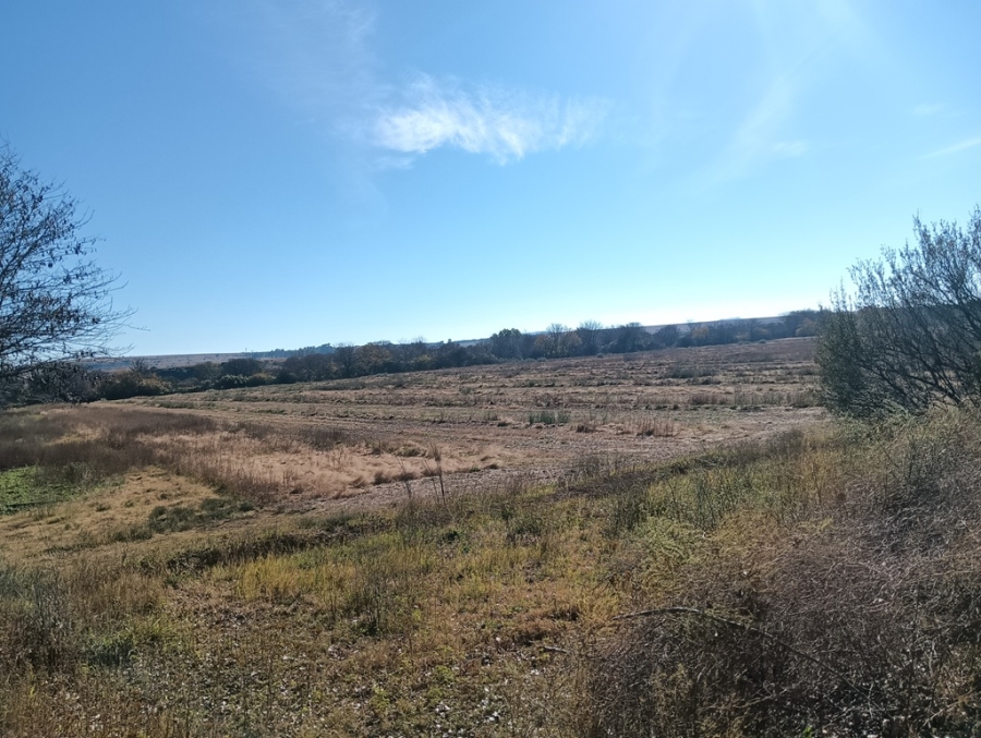 6 Bedroom Property for Sale in Aliwal North Eastern Cape